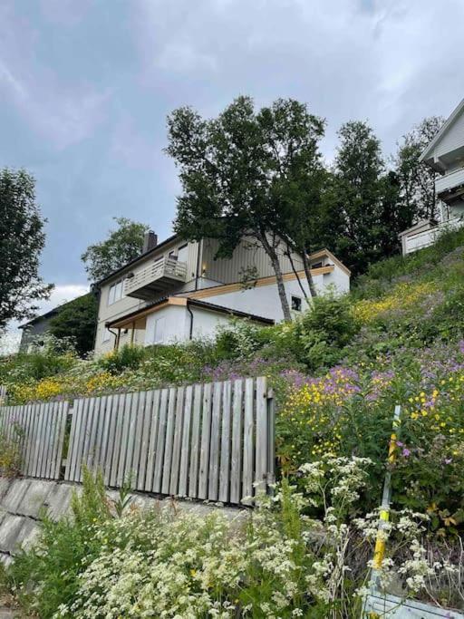 Penthouse With Panorama View And Great Location! Leilighet Tromsø
